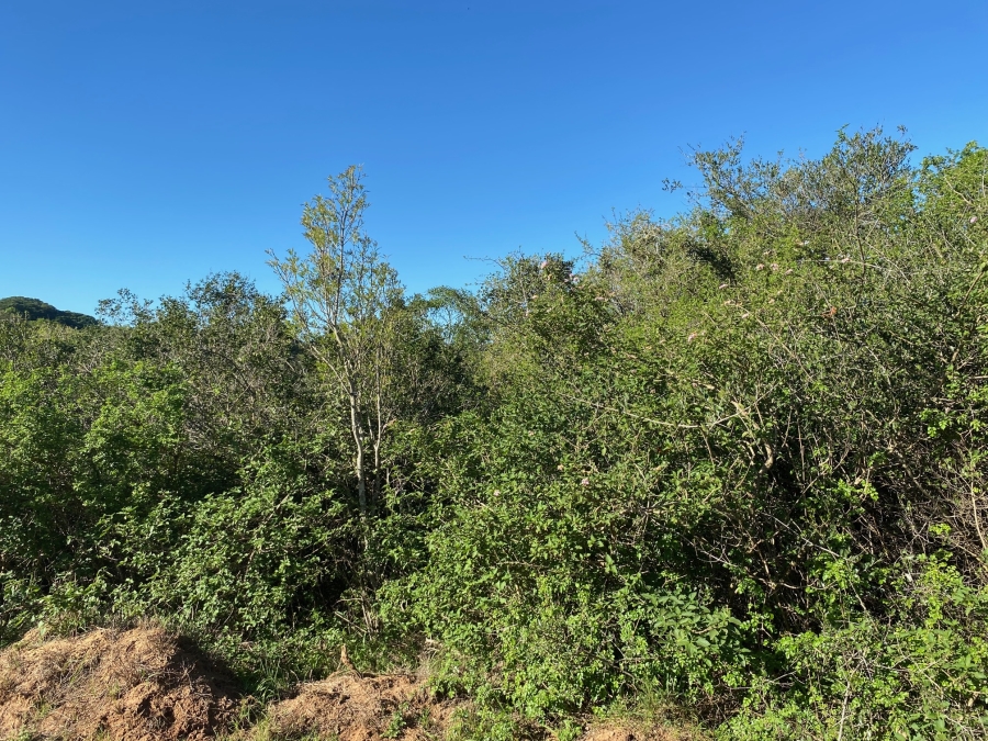 0 Bedroom Property for Sale in Bathurst Eastern Cape